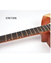 CALVIN SANG CS-7 半缺角手工單板木結他